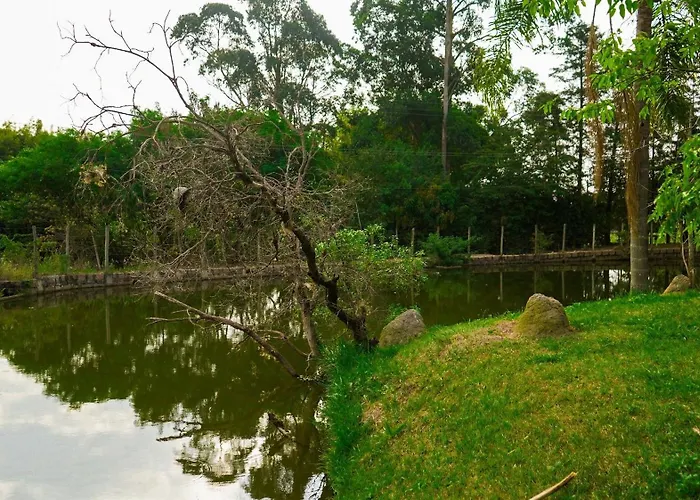 Chalé europeu com vista para natureza no interior